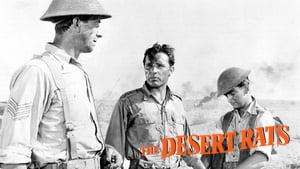 The Desert Rats