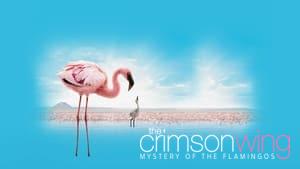 The Crimson Wing: Mystery of the Flamingos