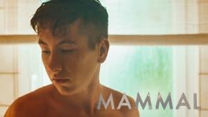 Mammal