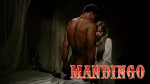 Mandingo