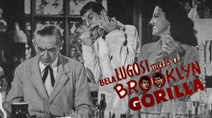 Bela Lugosi Meets a Brooklyn Gorilla