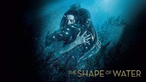 The Shape of Water