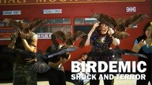 Birdemic: Shock and Terror