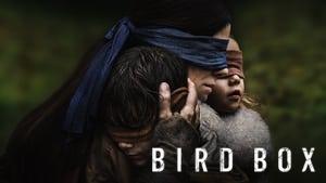 Bird Box