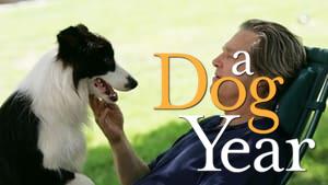 A Dog Year