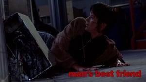 Man's Best Friend