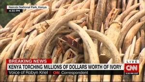 Ivory. A Crime Story