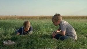 The Nature of Nicholas