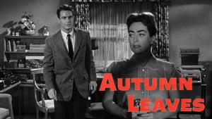 Autumn Leaves