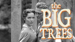 The Big Trees