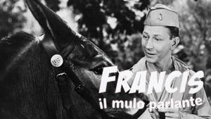 Francis