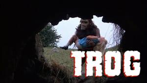Trog