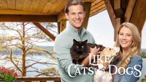 Like Cats & Dogs
