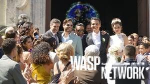 Wasp Network