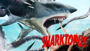 Sharktopus