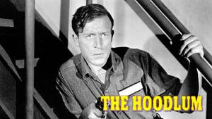 The Hoodlum