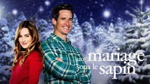 The Spruces and the Pines