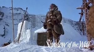 Shadow of the Wolf