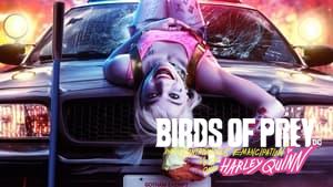 Birds of Prey (and the Fantabulous Emancipation of One Harley Quinn)