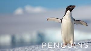 Penguins