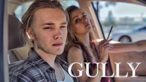 Gully