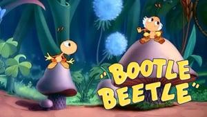 Bootle Beetle