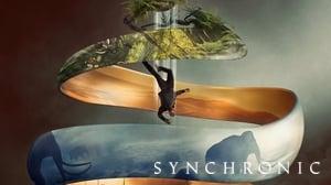 Synchronic