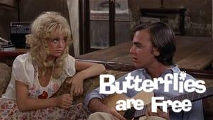 Butterflies Are Free