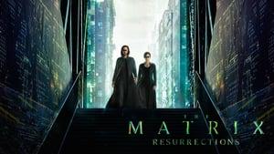 The Matrix Resurrections
