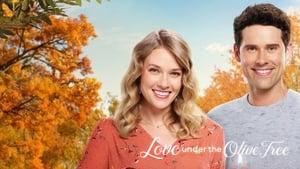 Love Under the Olive Tree