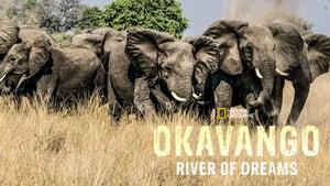 Okavango: River of Dreams - Director's Cut