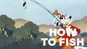 How to Fish
