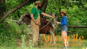 My Donkey, My Lover & I