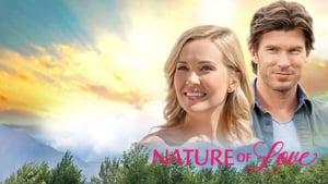 Nature of Love