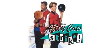 Alley Cats Strike