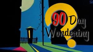 90 Day Wondering