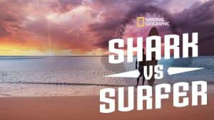 Shark vs. Surfer