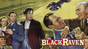 The Black Raven