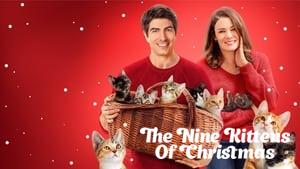 The Nine Kittens of Christmas