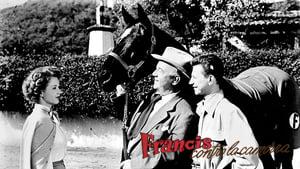 Francis Covers the Big Town