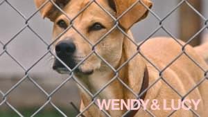 Wendy and Lucy