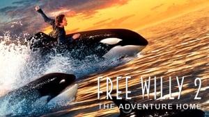 Free Willy 2: The Adventure Home
