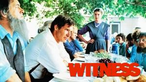 Witness