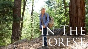 In the Forest