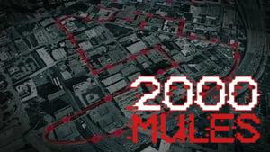 2000 Mules
