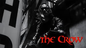 The Crow