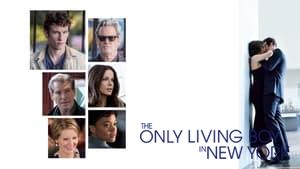 The Only Living Boy in New York