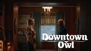 Downtown Owl