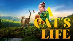 A Cat's Life