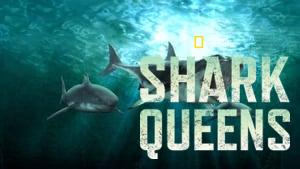 Shark Queens